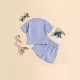 Cross-border infant and toddler bodysuit with letter print, sweet solid color long-sleeved triangle romper.